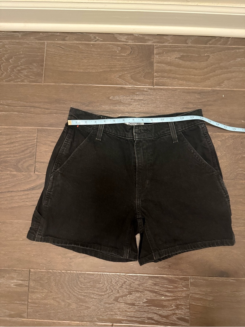 Aritzia Sun Deh demo carpenter shorts